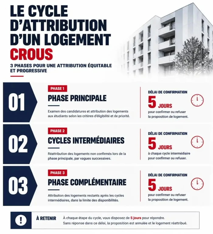 Infographie des étapes d'attribution d'un logement Crous et délais de confirmation